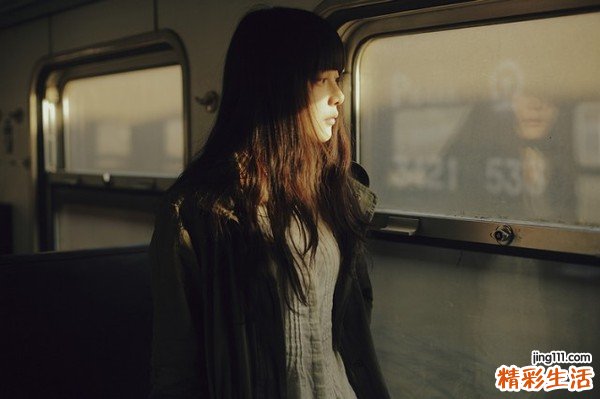 散尾葵的功效与作用