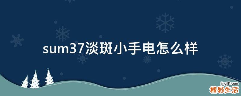 sum37淡斑小手电怎么样