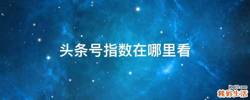 头条号指数在哪里看
