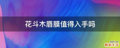 花斗木唇膜值得入手吗