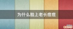 为什么脸上老长痘痘