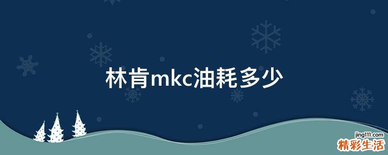 林肯mkc油耗多少