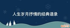 人生岁月抒情的经典语录