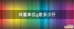 体重单位g是多少斤