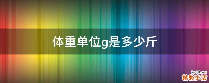 体重单位g是多少斤