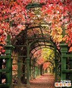 哮喘发作怎么办