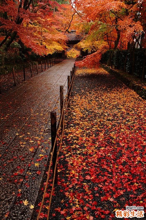 3 OL上班族 办公室健身减肥6窍门