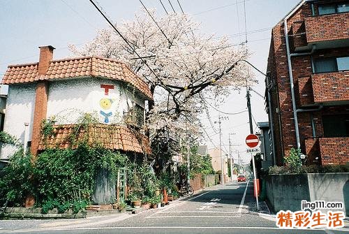 脑出血有哪些药物