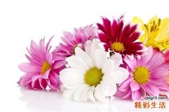 4 男人为啥喜欢被女人“口吃”？