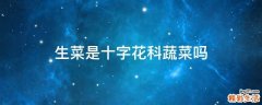 生菜是十字花科蔬菜吗
