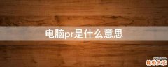 电脑pr是什么意思