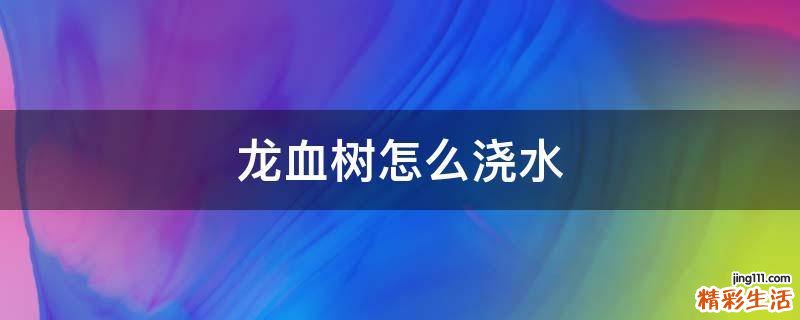 龙血树怎么浇水