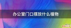 办公室门口摆放什么植物
