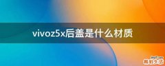 vivoz5x后盖是什么材质