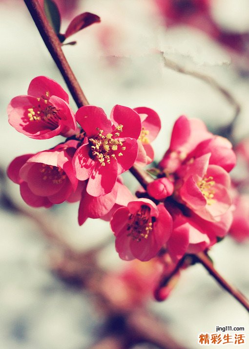 秋季每日三餐如何饮食
