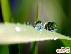 什么是乙肝病毒携带者