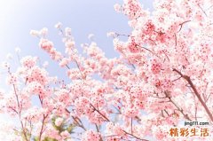 伤风感冒能吃羊肉吗