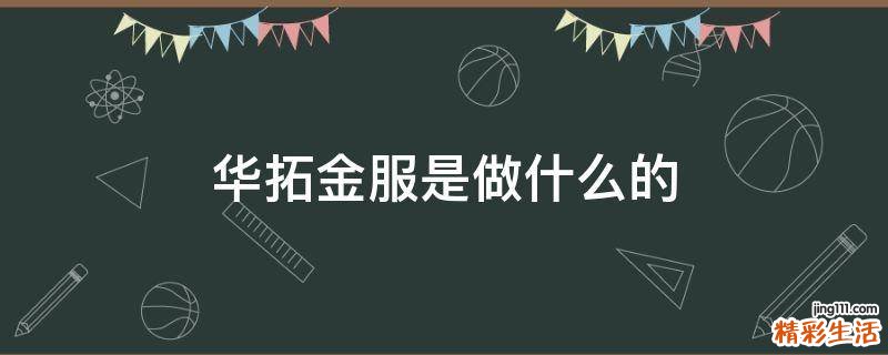 华拓金服是做什么的