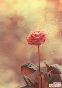 4 白领 请照顾好您的胃