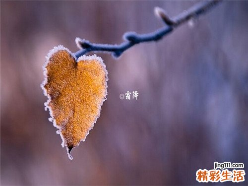 有关糖尿病的症状