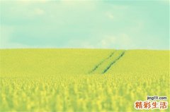 3 盘点中国人“自杀式”饮食习惯