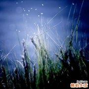 2 盘点中国人“自杀式”饮食习惯