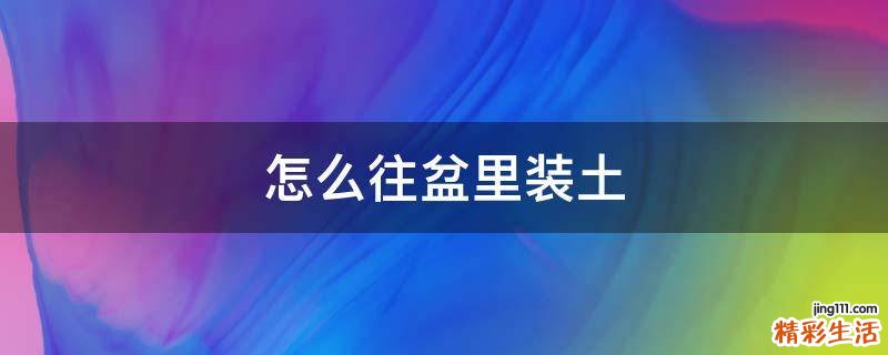 怎么往盆里装土