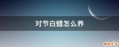 对节白蜡怎么养