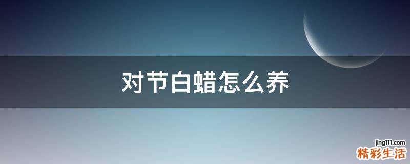 对节白蜡怎么养