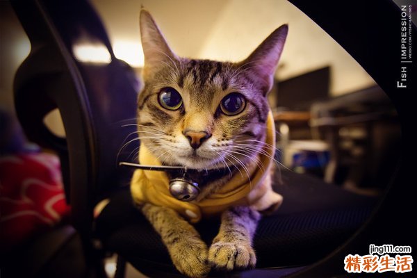 7 4坏习惯吞噬白领健康 食疗应对