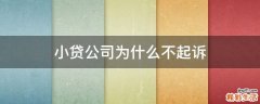 小贷公司为什么不起诉