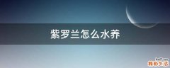 紫罗兰怎么水养