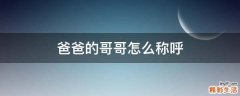 爸爸的哥哥怎么称呼