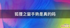 狐狸之窗手势是真的吗