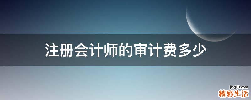 注册会计师的审计费多少