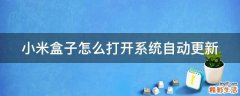 小米盒子怎么打开系统自动更新