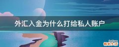 外汇入金为什么打给私人账户
