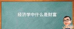经济学中什么是财富