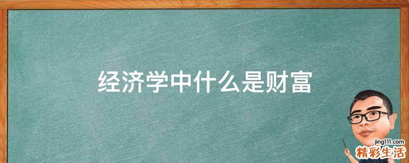 经济学中什么是财富