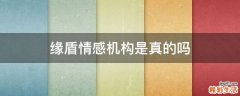 缘盾情感机构是真的吗