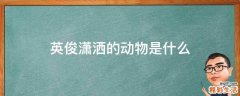 英俊潇洒的动物是什么