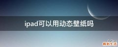 ipad可以用动态壁纸吗