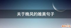关于晚风的唯美句子