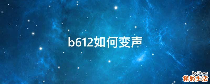 b612如何变声