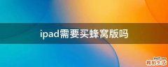 ipad需要买蜂窝版吗