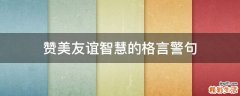 赞美友谊智慧的格言警句