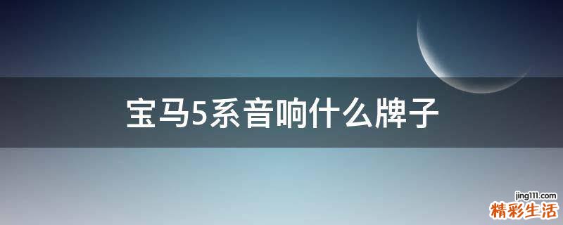 宝马5系音响什么牌子