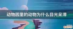 动物园里的动物为什么目光呆滞