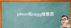 plmm和sqgg啥意思