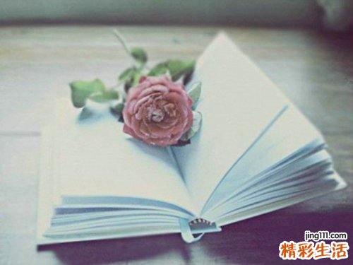 扁桃体有哪些作用?什么样的扁桃体该切除?